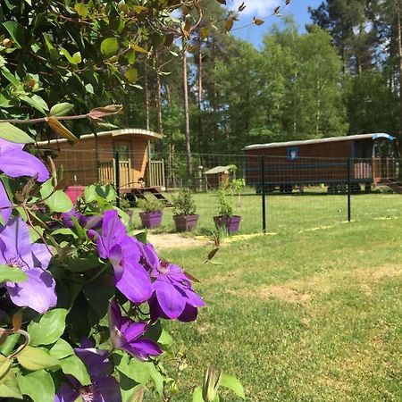 Roulottes Du Chalet Des Pins Rougeou Екстериор снимка