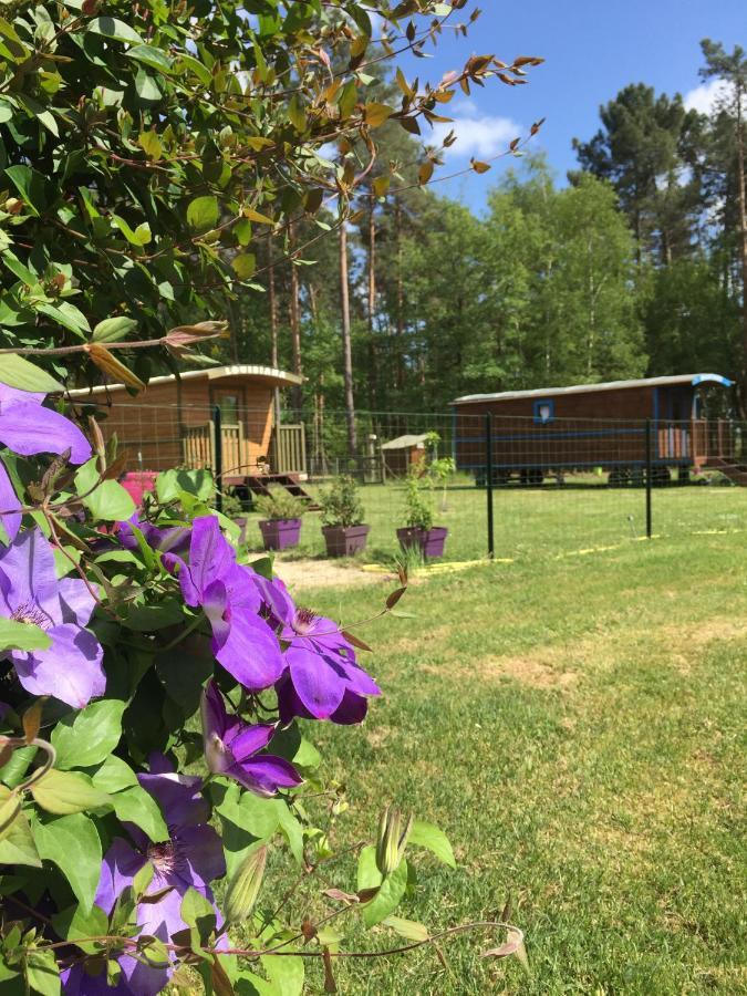 Roulottes Du Chalet Des Pins Rougeou Екстериор снимка