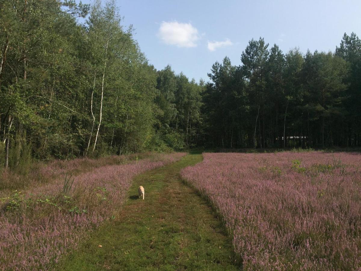 Roulottes Du Chalet Des Pins Rougeou Екстериор снимка