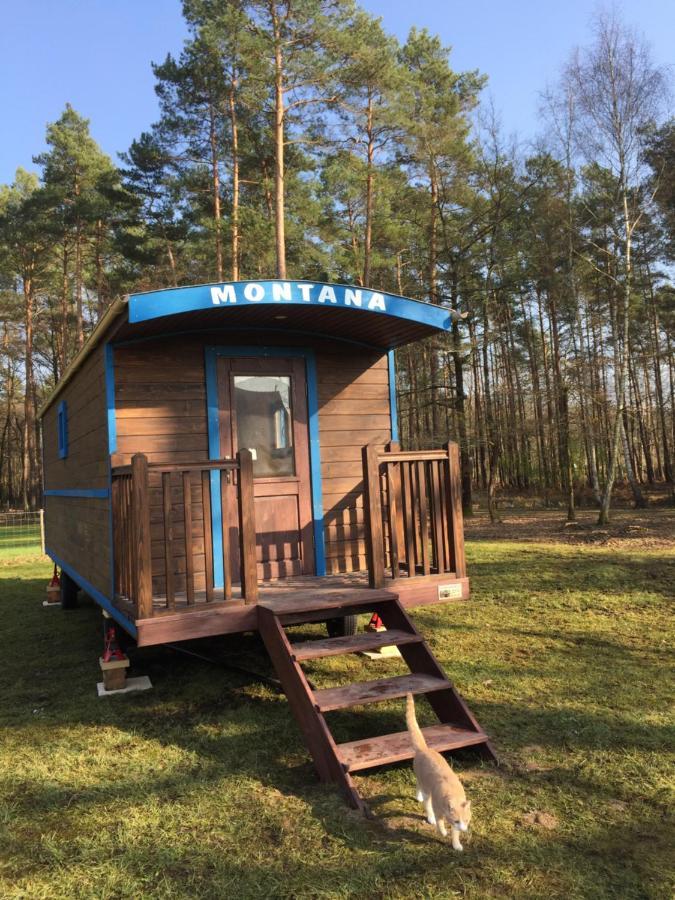 Roulottes Du Chalet Des Pins Rougeou Екстериор снимка