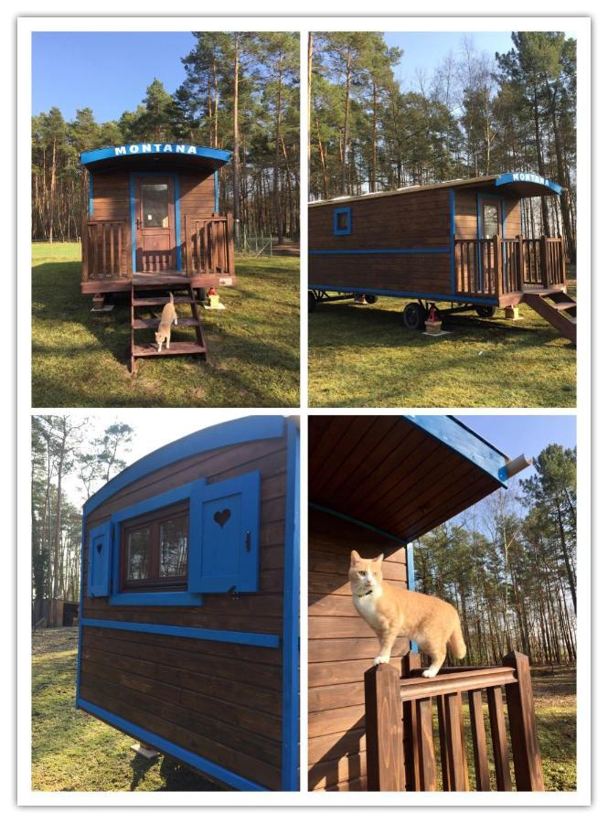 Roulottes Du Chalet Des Pins Rougeou Екстериор снимка