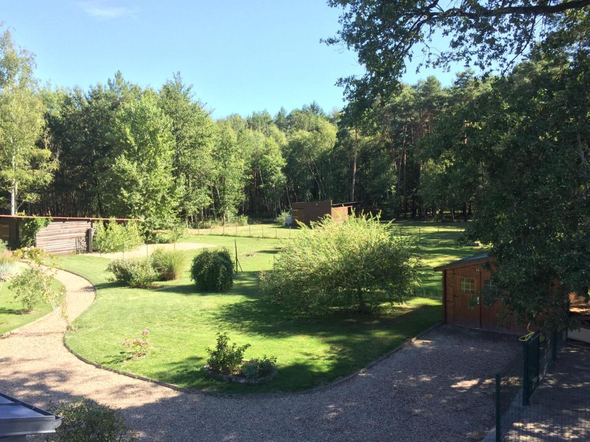 Roulottes Du Chalet Des Pins Rougeou Екстериор снимка