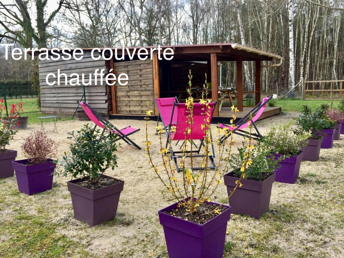 Roulottes Du Chalet Des Pins Rougeou Екстериор снимка