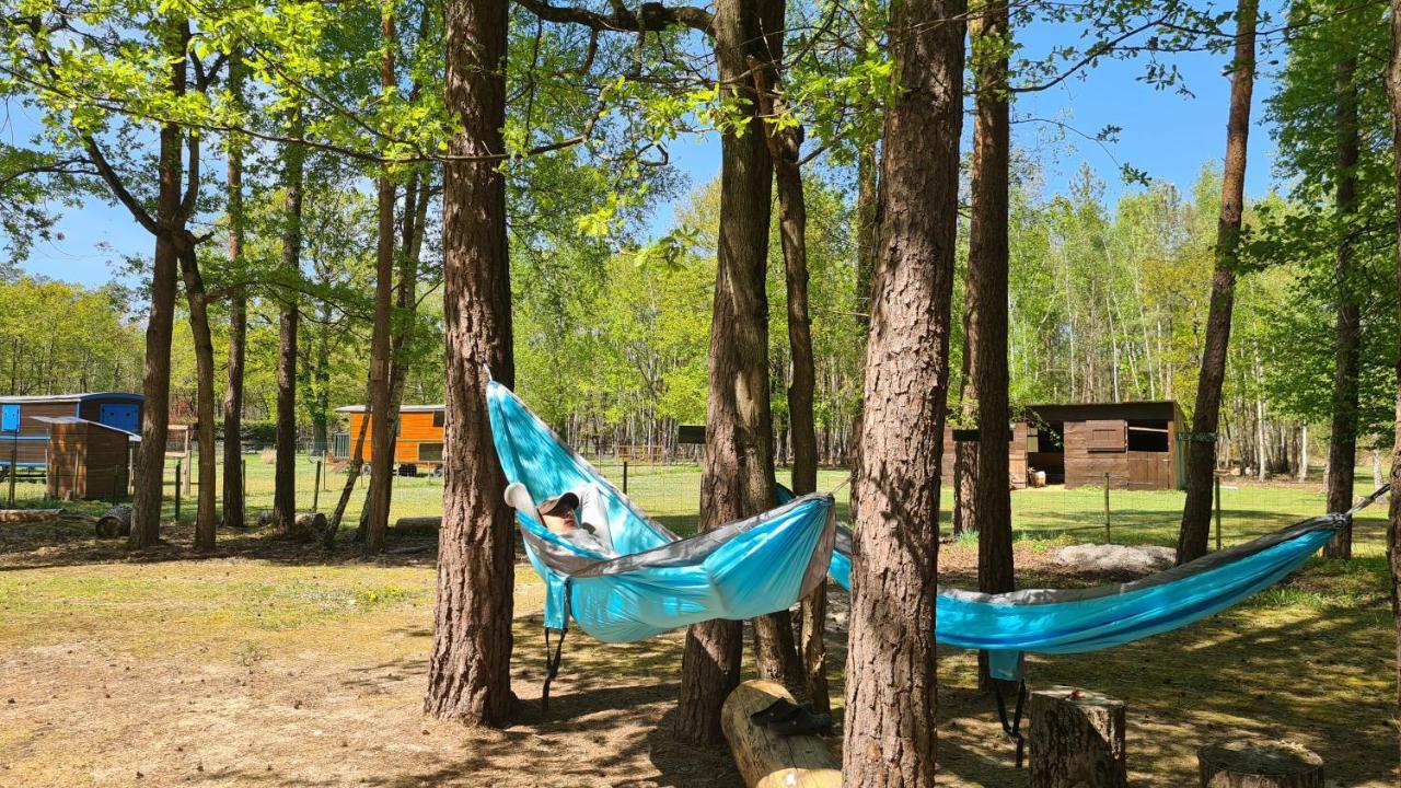 Roulottes Du Chalet Des Pins Rougeou Екстериор снимка